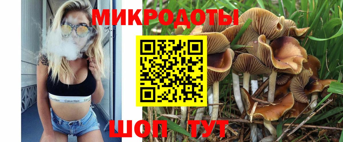 Ухта  Псилоцибиновые грибы мухоморы  Вход с VPN 